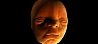 Face+Development+in+the+Womb+%26%238211%3B+Inside+the+Human+Body.