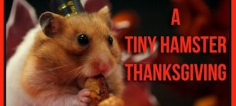 A+tiny+hamster+Thanksgiving.