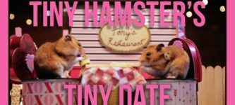 Tiny+hamsters+on+a+tiny+Valentine%26%238217%3Bs+Day+date.