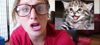THE+BESTEST+MOST+CUTEST+CAT+VIDEOS
