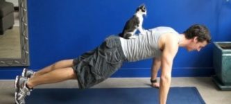 How+to+exercise+with+a+cat.