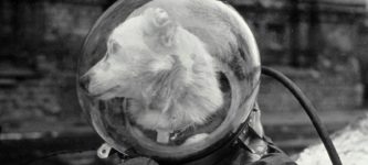 Belka%2C+a+Soviet+dog+who+went+to+space+in+the+Sputnik+5.+She+returned+to+Earth+safely.+August+1960.