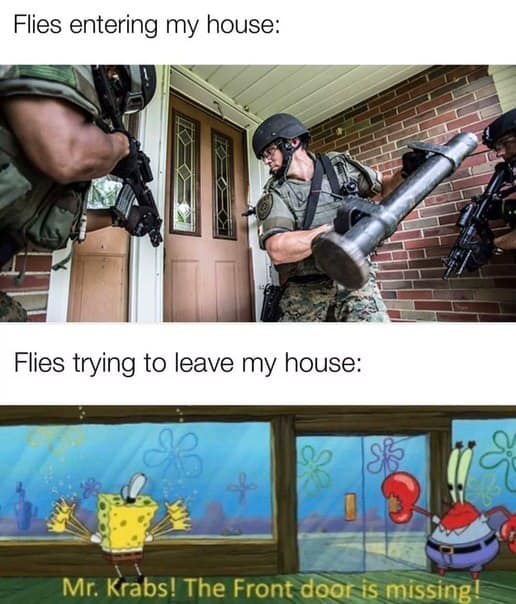 Please+make+the+buzzing+stahp.