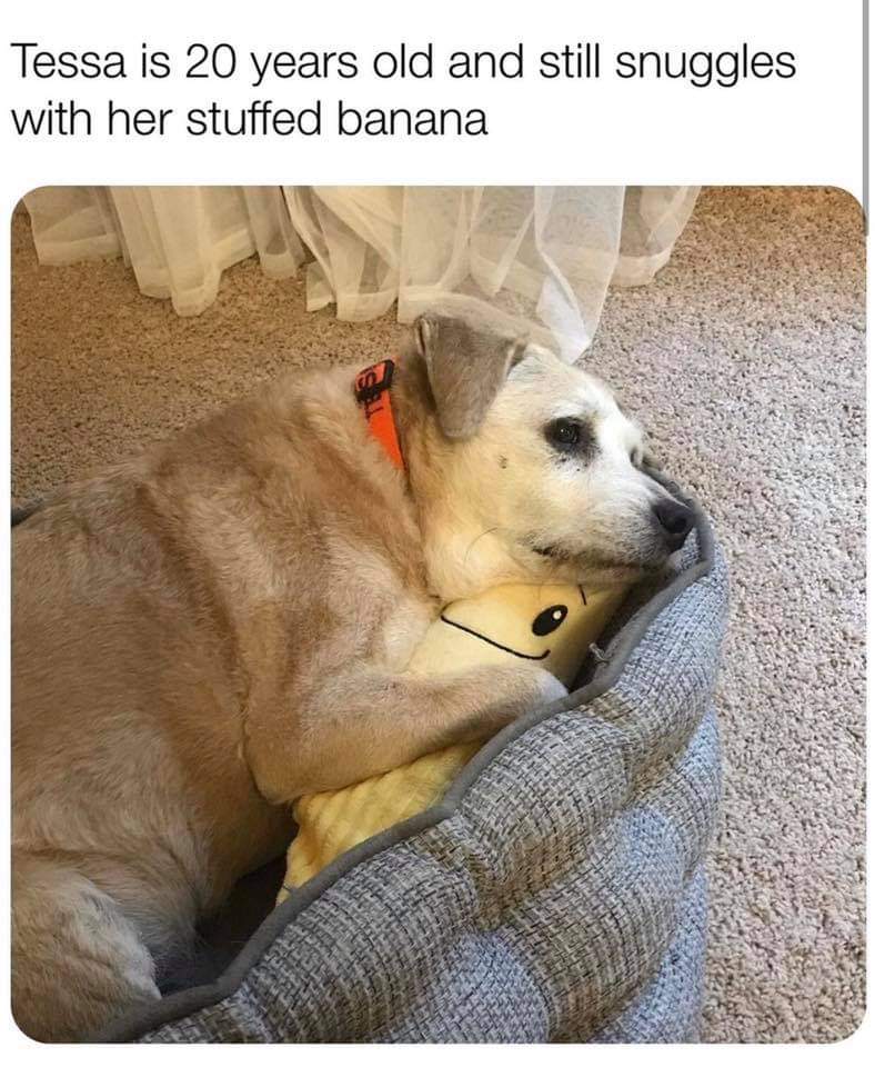 Banana+for+snuggles.
