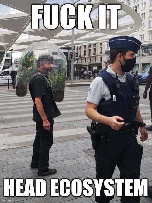 A+whole+new+world%26%238230%3B