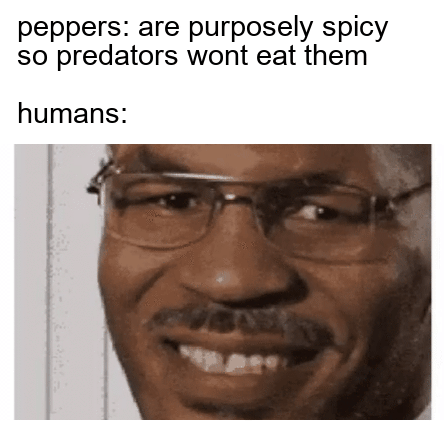 I+find+you+rather+thrilling%26%238230%3B+pepper.