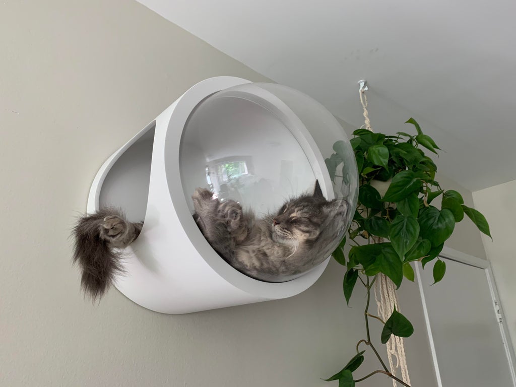 Dreaming+about+being+a+cosmokitty.