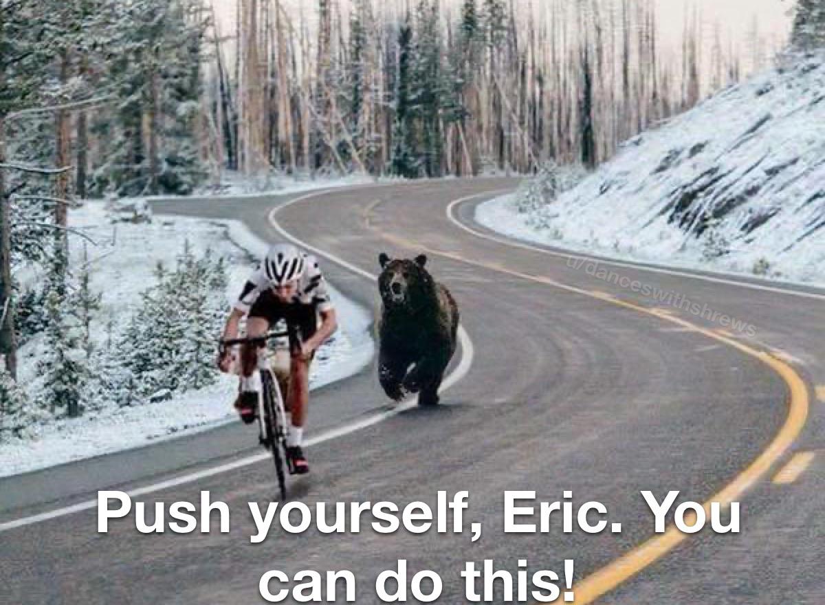 Motivational+bear+bro.