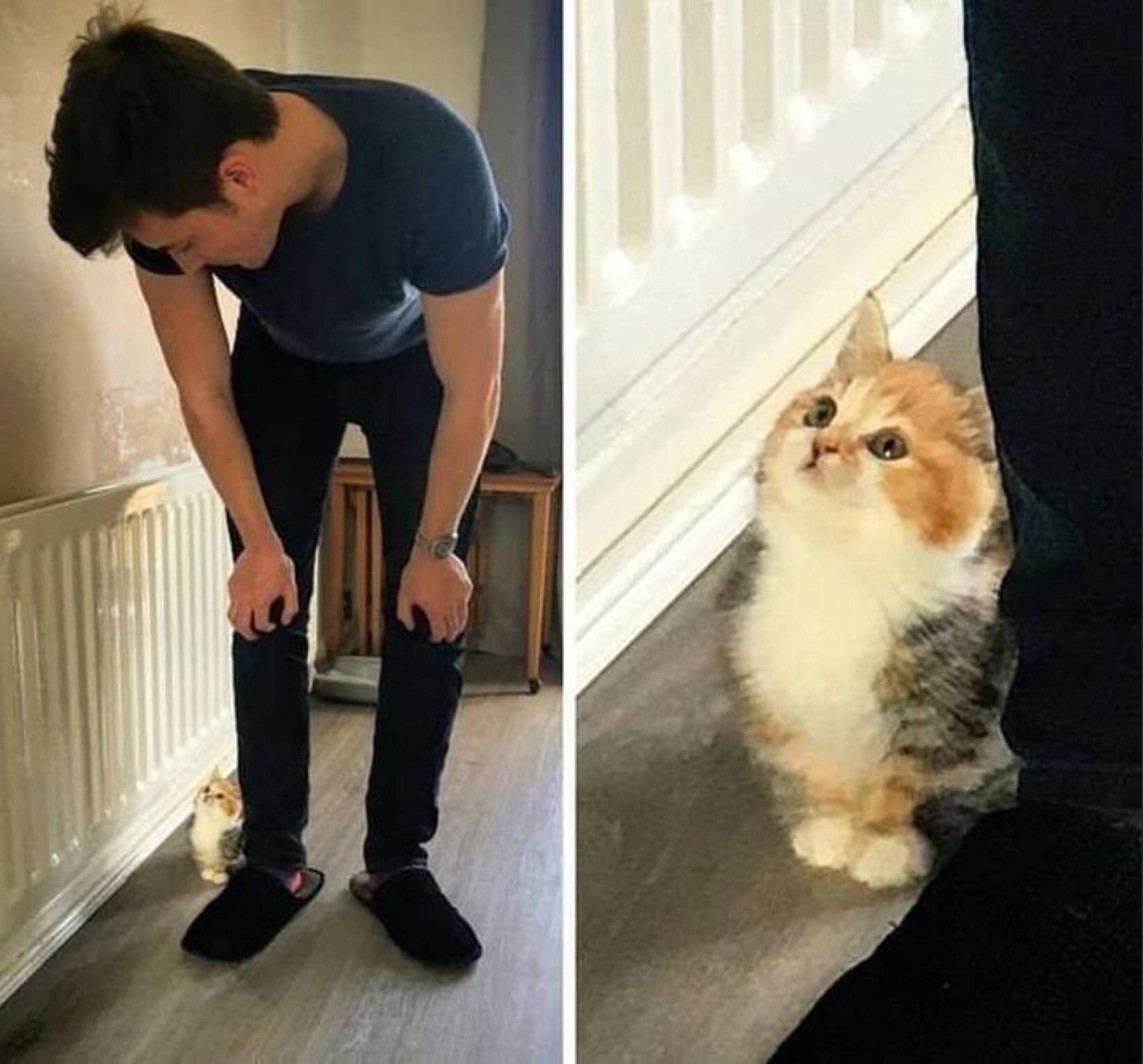 So+basically%2C+I%26%238217%3Bm+not+vewy+large