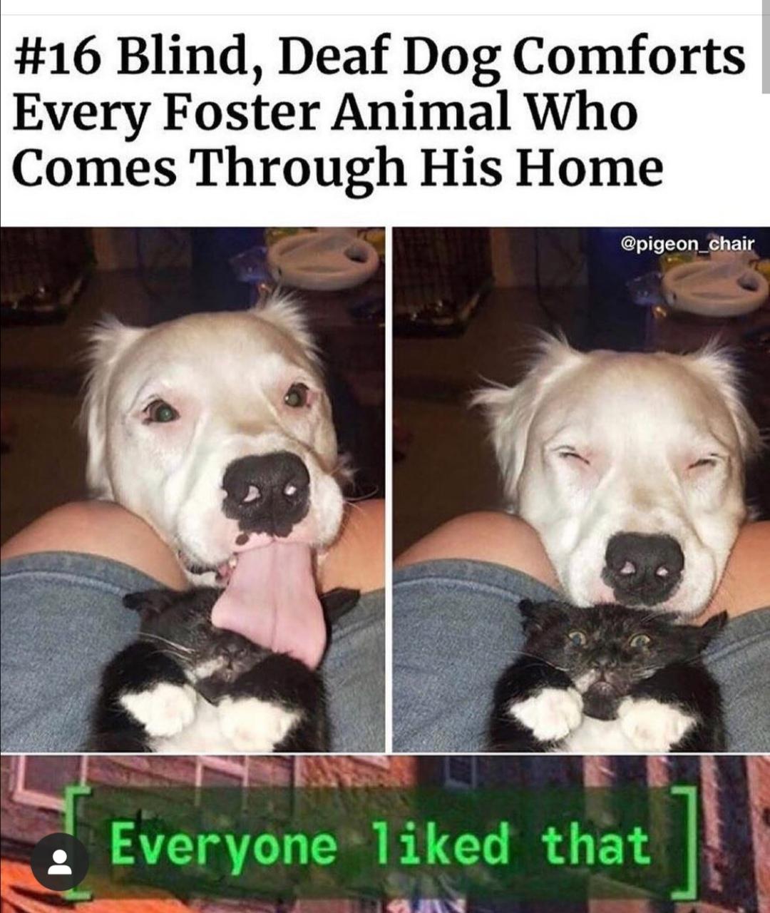 %2Aalmost+every+one.