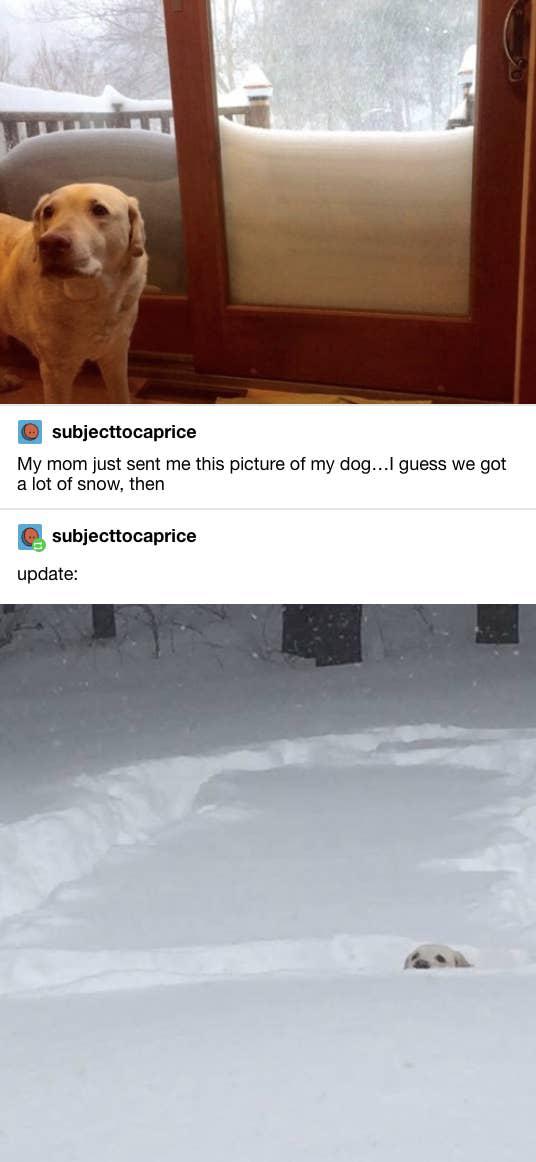 Extreme+snow+shoveling.