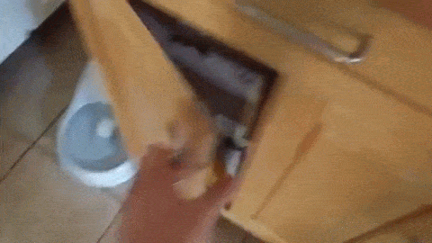 Every+time+I+get+catnip