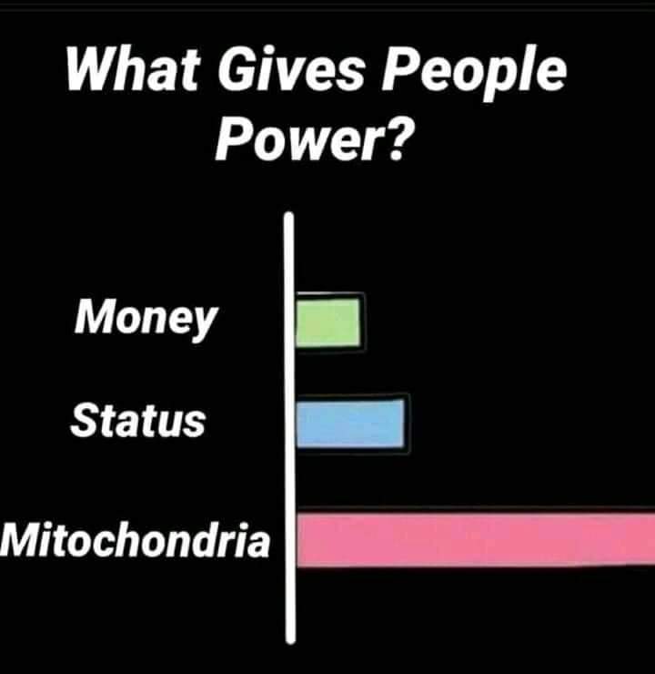 Mitochondria++are+the+power+house+of+cell%21