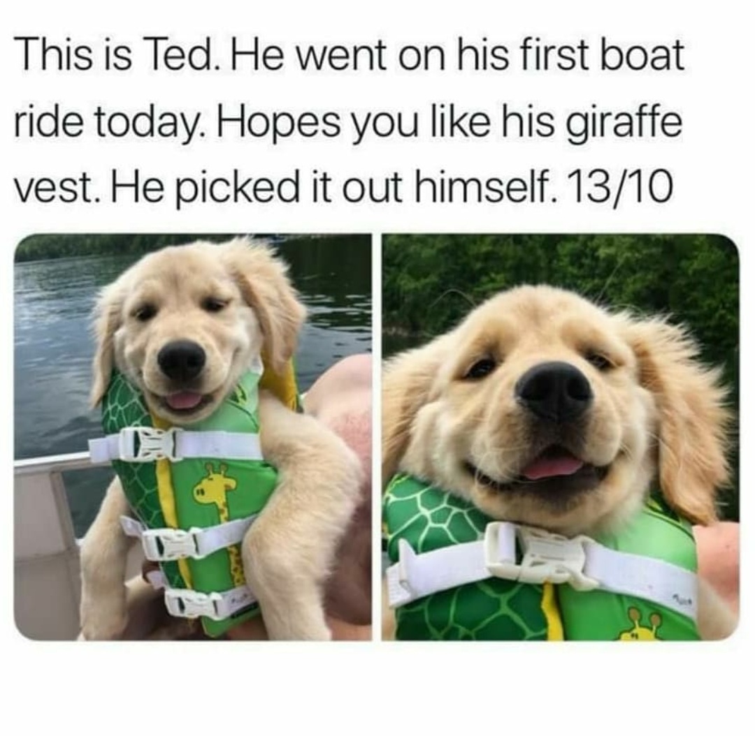 Ted+got+a+boat.