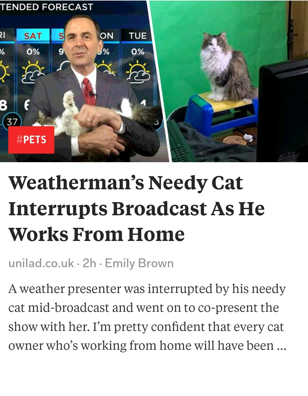 I+am+kinda+OK+with+this+new+world%2C+after+all.