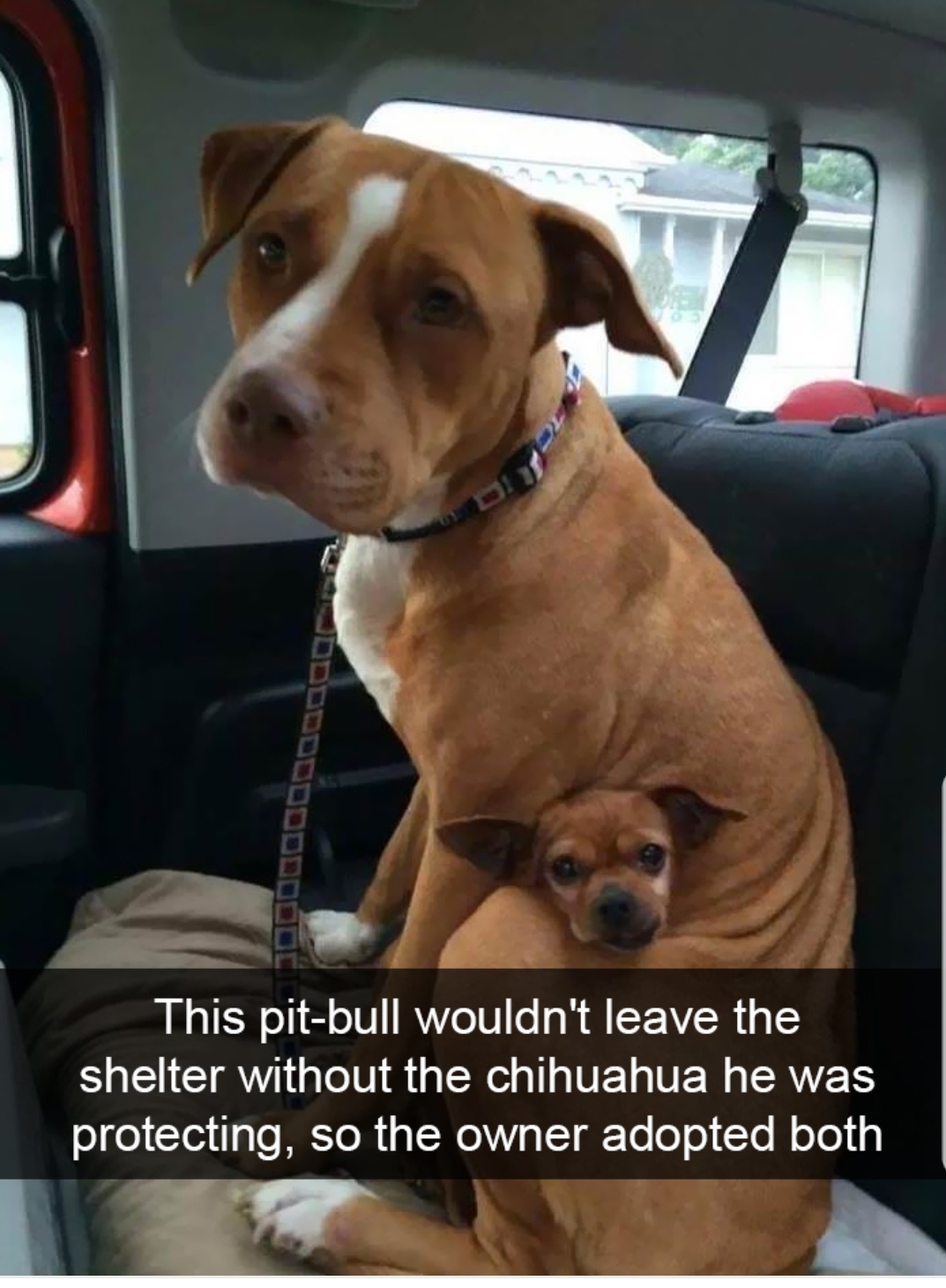 You%26%238217%3Bre+coming+with+me+bro