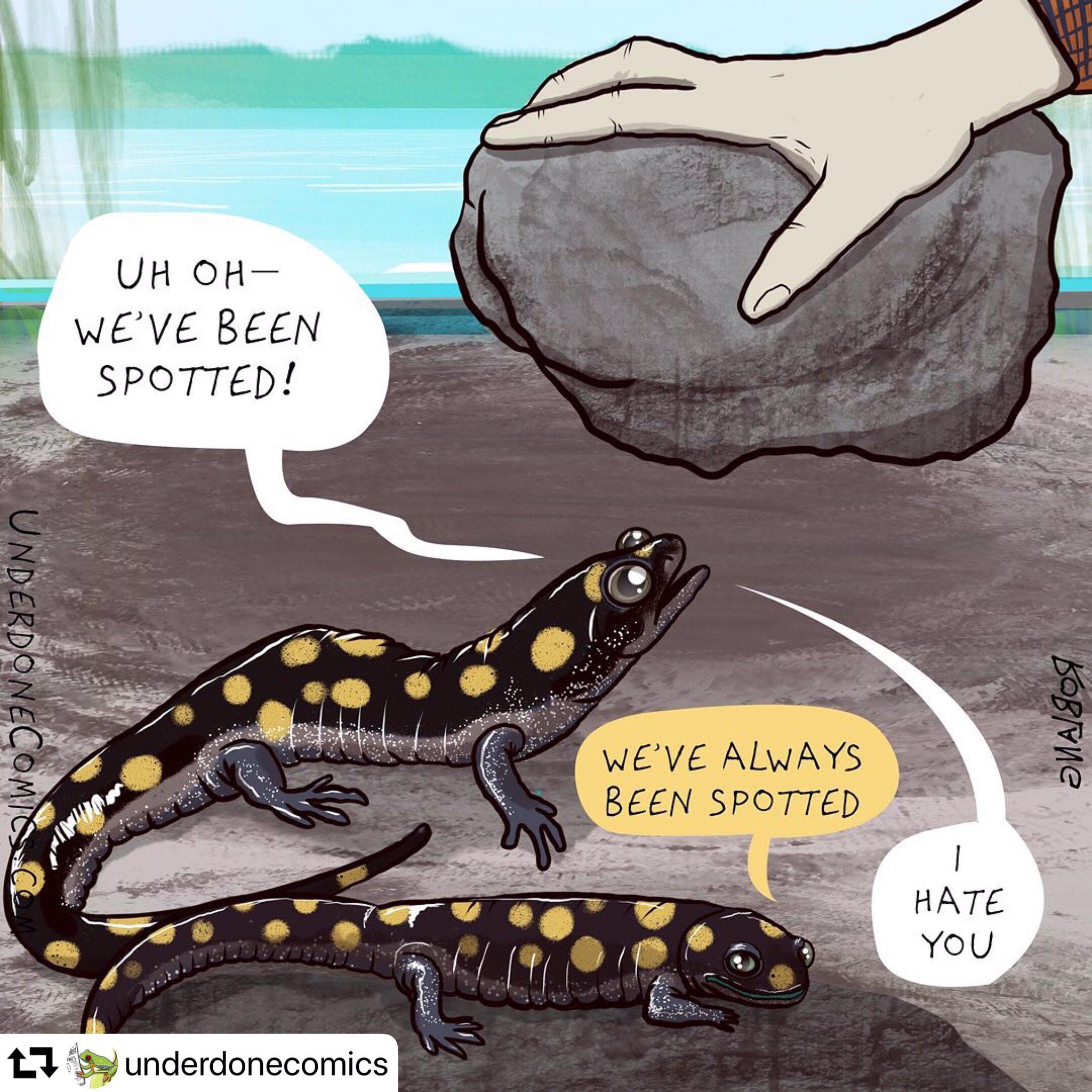 No%21+Not+again%21%21