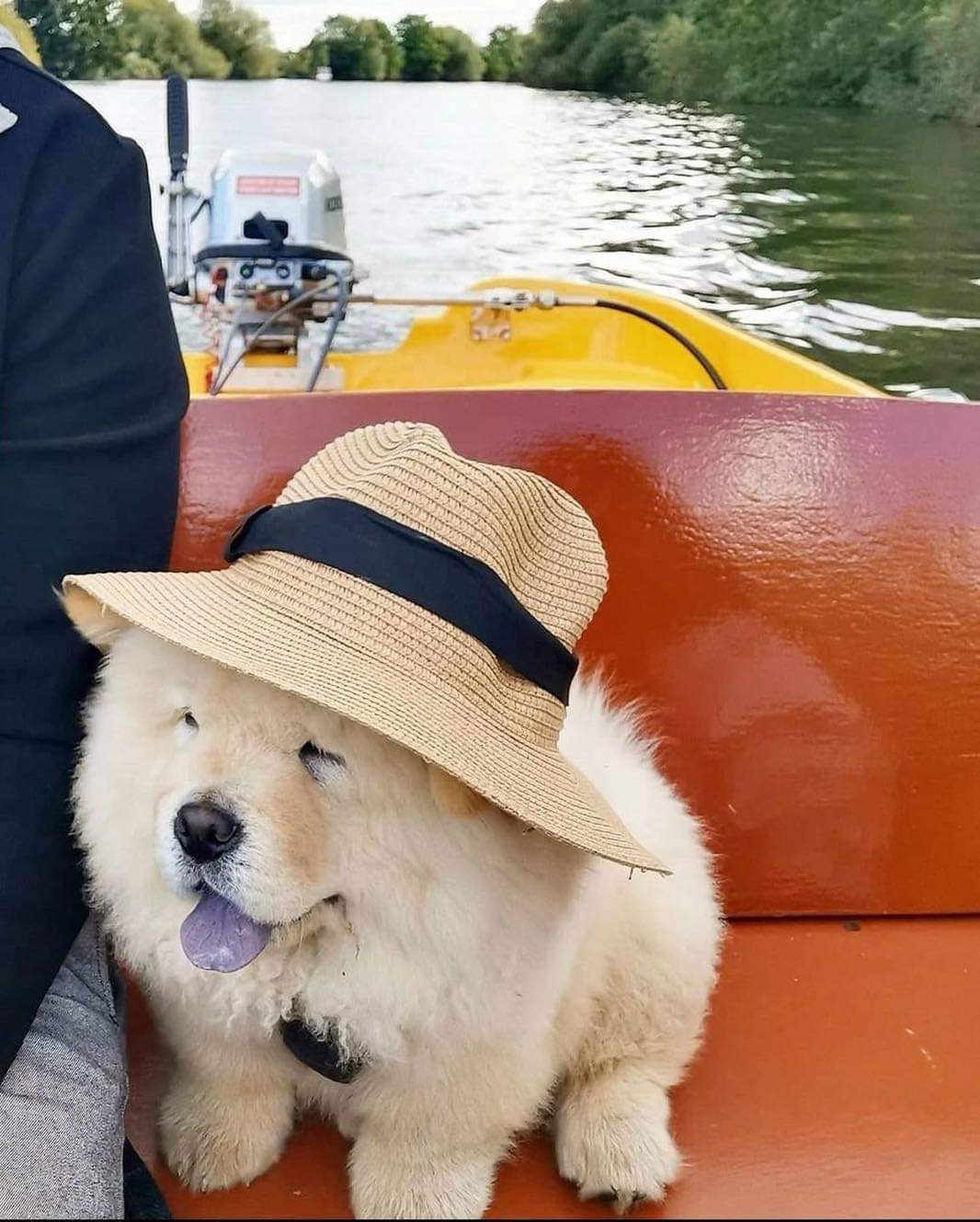 Lake+days+are+good+days.