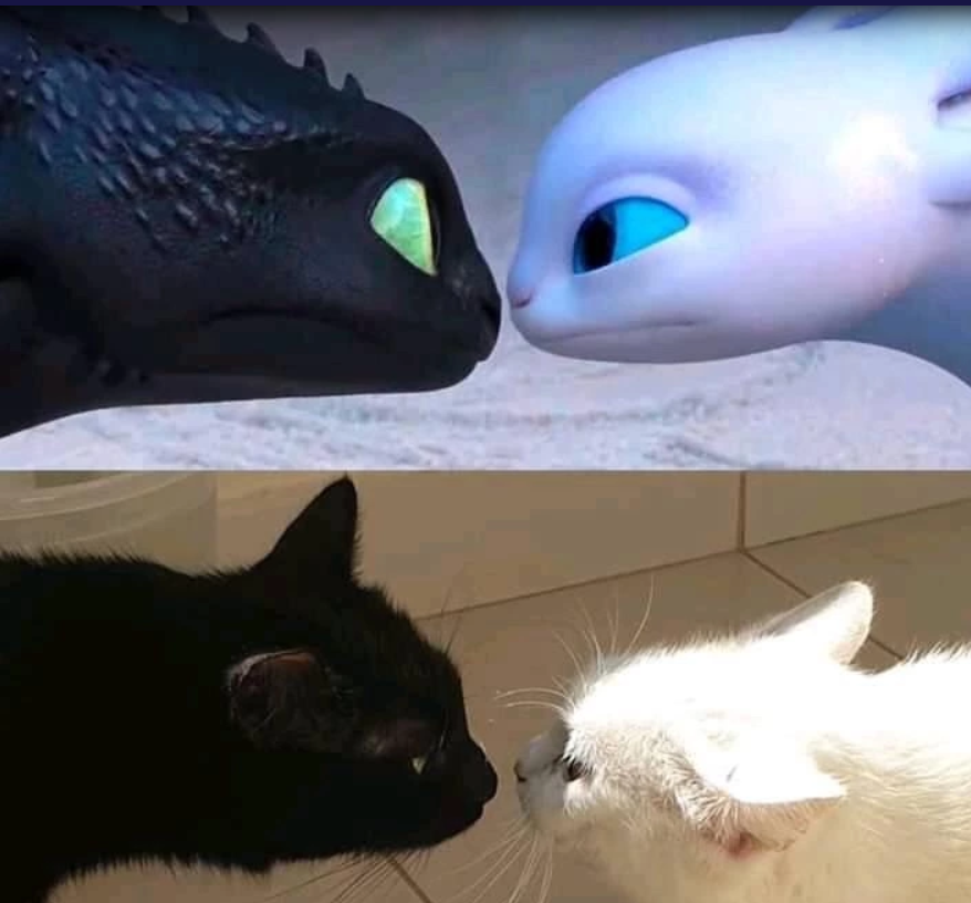 When+art+mimics+life.