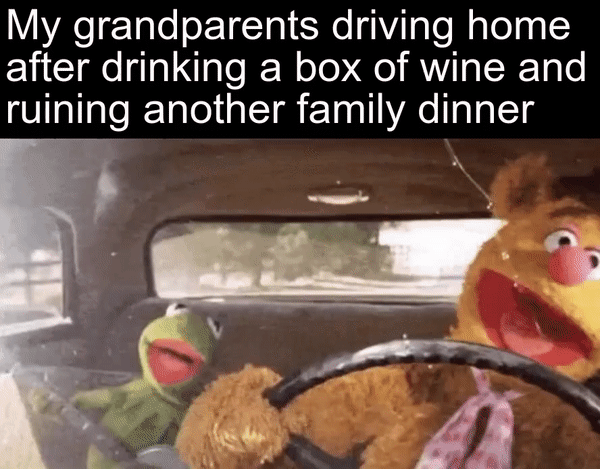 I+wonder+why+the+keep+inviting+us+back.+%26%238211%3B+Grans%2C+probably.