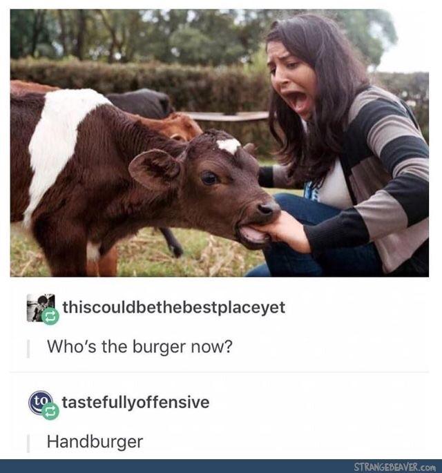 Handburger