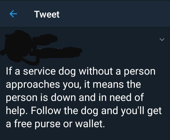 Service+dog+hacks%26%238230%3B