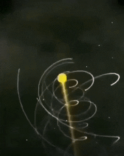 A+model+of+our+solar+system+traveling+through+space