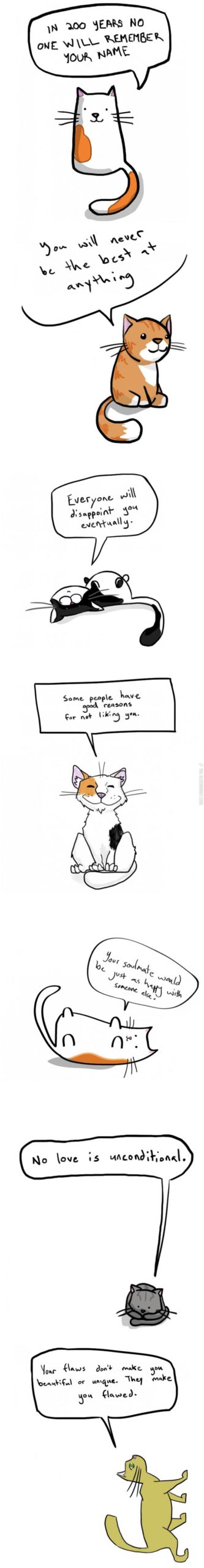 The+bitter+reality+delivered+by+cats.