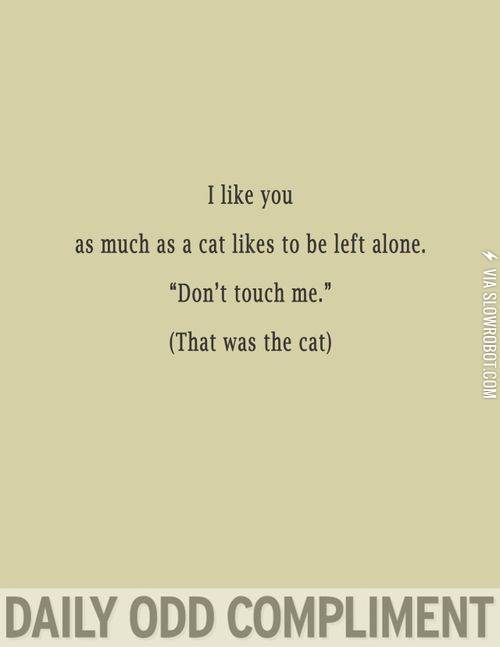 Daily+Odd+Compliment