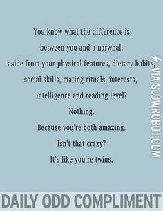 Daily+Odd+Compliment