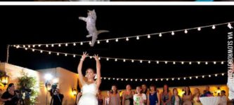 Brides+throwing+kitty+bouquets.