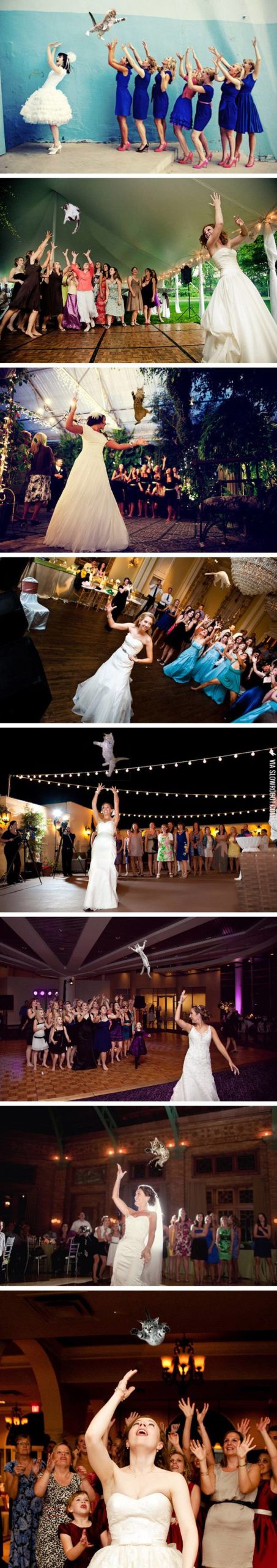 Brides+throwing+kitty+bouquets.