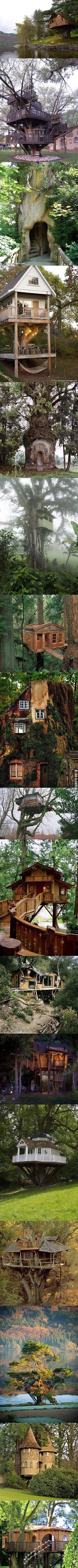 I+Need+A+Grownup+Tree+House+In+My+Life