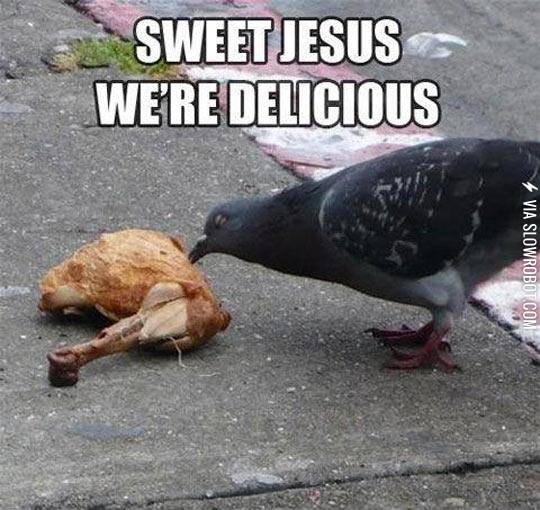 This+Is+So+Wrong%2C+But+The+Taste+Is+So+Right