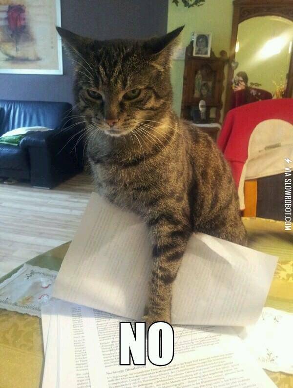 When+I+try+to+do+my+homework%26%238230%3B