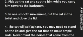 How+to+clean+the+cat.