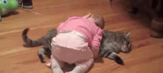 Cat+tolerates+little+humans+nap+time