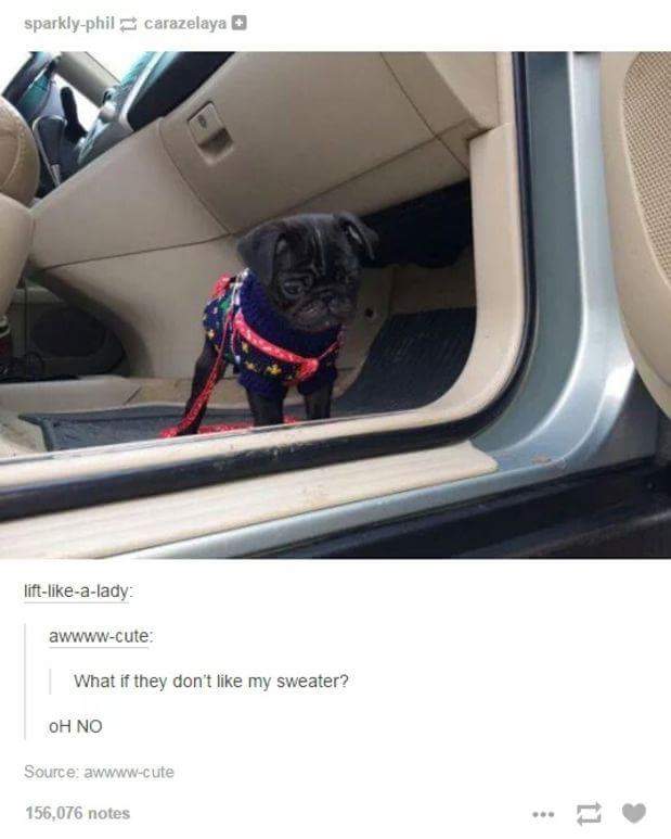 What+if+they+don%26%238217%3Bt+like+my+sweater%3F