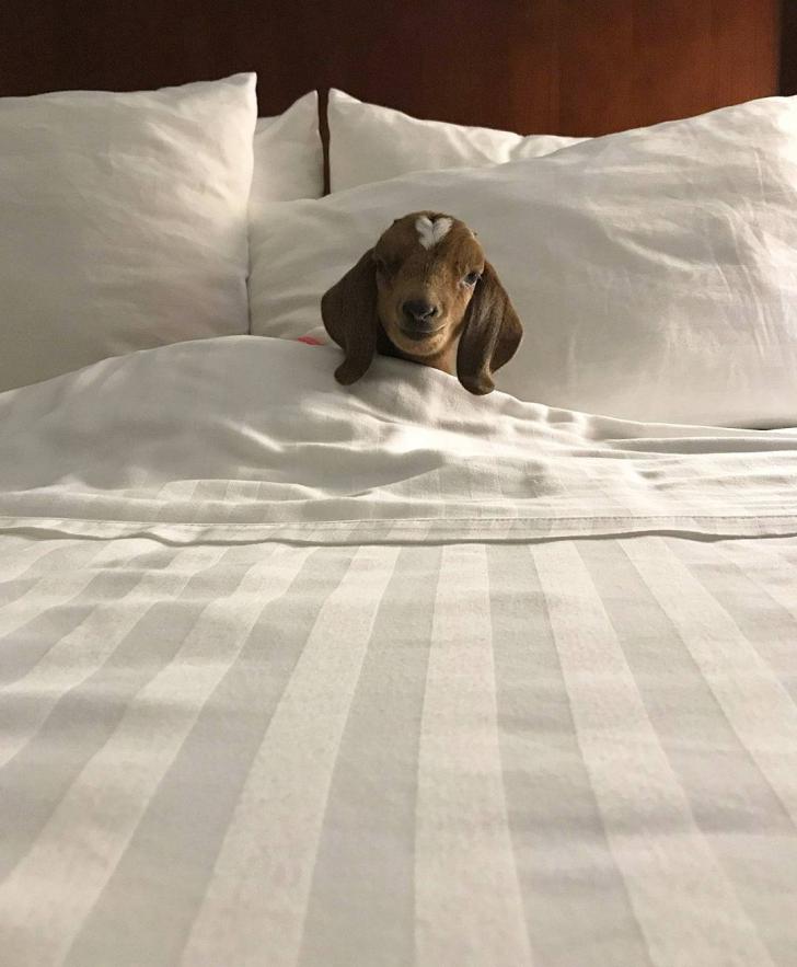 I%26%238217%3Bm+all+tucked+in+%3AD