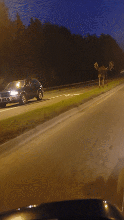 Meanwhile+in+Alaska%26%238230%3B.