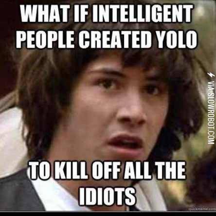 Why+YOLO+exists.
