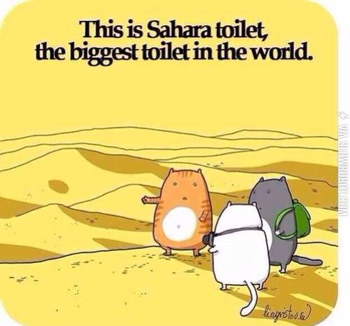 The+Sahara+toilet.