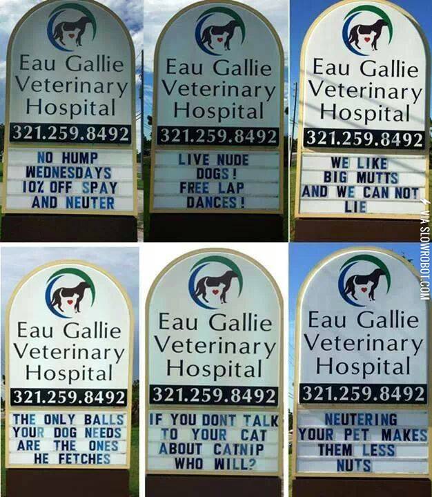 My+local+vet.+hospital%26%238217%3Bs+clever+advertising