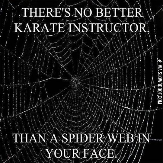 There%26%238217%3Bs+no+better+karate+instructor%26%238230%3B