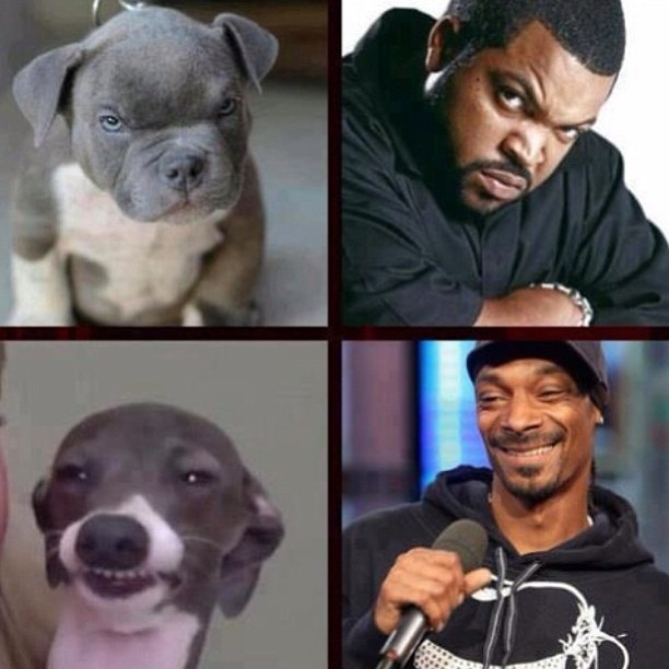 Couldn%26%238217%3Bt+have+described+it+better+myself