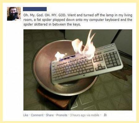 The+Only+Reasonable+Thing+To+Do