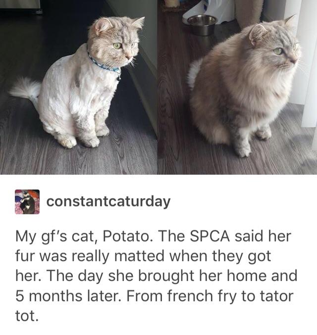 Yum+yum+in+my+tum+tum