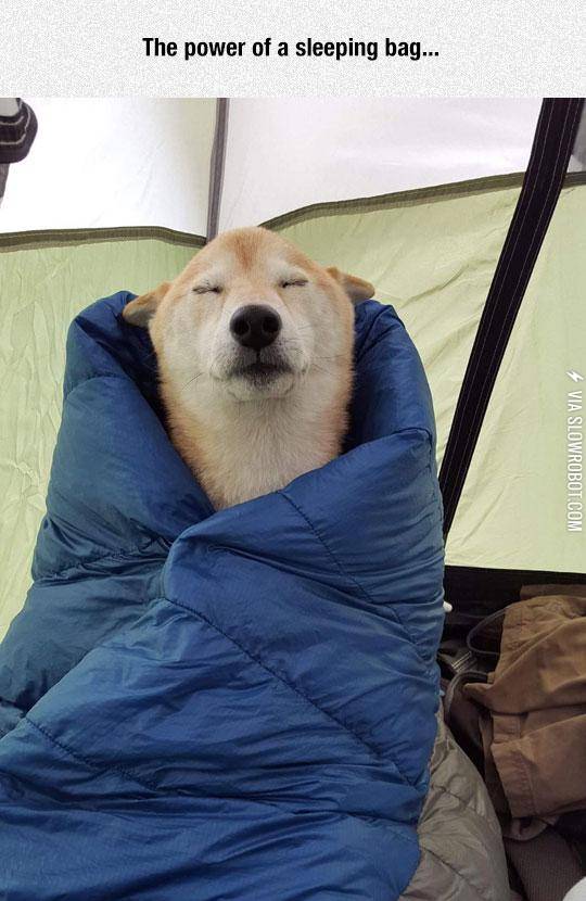 Ultra+Comfiness+Achieved