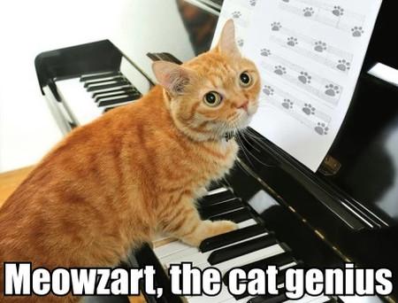 Meowzart%2C+The+Cat+Genius
