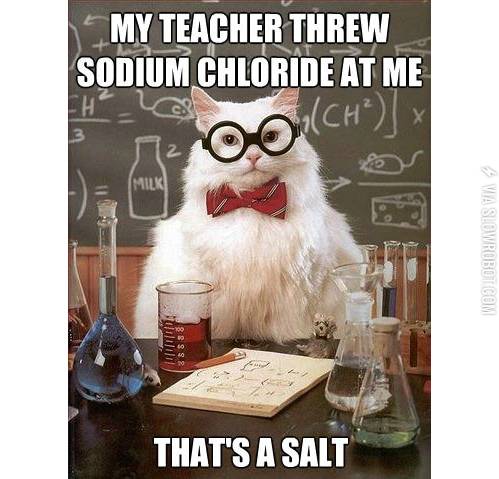 That%26%238217%3Bs+a+salt.